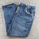 American Eagle  Outfitters Curvy Mom Jean Medium Wash Straight Leg 18 Regular Photo 1