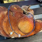 Brand New 5PCS Pastel Multicolor beaded necklace with freshwater pearls Black Photo 5