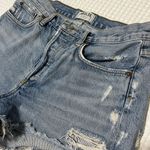 AGOLDE Light Blue Women's Parker Vintage Cutoff Shorts Photo 1