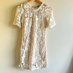 Sparkle & Fade Size S cream crochet layered 3/4 Sleeves cut out back mini dress Photo 2