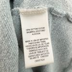 Anthropologie Saturday Sunday Odette Cotton Drop Waist Ruffle Sleeve Dress Large Photo 6