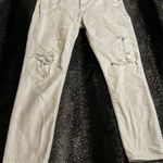 Polo Womens sz32  Astor Slim Boyfriend jeans Photo 0