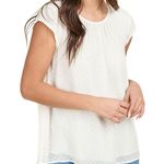 DR2 by Daniel Rainn Floral Clip Dot Cap Sleeve Tunic Blouse Photo 1