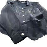 Piacere Chiffon blouse Metallic Black Plus Size 24 Sheer Sleeves Formal elegant Photo 4