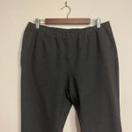 Eileen Fisher Pants Knit Slacks Pull On Elastic Waist Stretch Dark Gray Plus 1X Photo 2