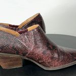 Lucky Brand Tabea Ankle Booties Photo 0