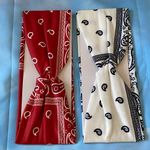 Red and White Paisley Bandana Duo Photo 1