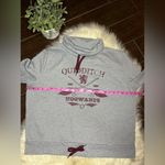 Harry Potter grey/burgundy Quidditch Hogwarts pullover sz XL Gray Photo 4