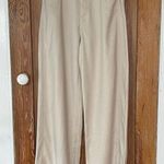 ZARA ✨ Baggy Shimmer Wide Leg High Rise Khaki Pants ~ Size 10 🍄 Photo 0