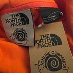 The North Face NWT Online Ceramics  x  Logo Hoodie  Photo 4