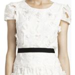 BCBG Maxazria Dress Photo 6