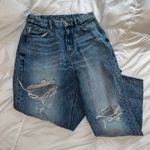 American Eagle AE curvy Mom Jean Photo 0