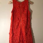 Allison Joy sz XS Photo 5