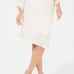 ALFANI Seashell Pink Textured Illusion Asymmetrical Hem Skirt NEW Size 14 Photo 1