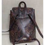 ALDO Brown & Gold Snakeskin Print Faux Leather Backpack Adjustable Straps Photo 2