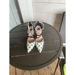 New Gritty Soul Photo 12