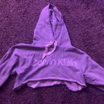 Calvin Klein Cropped Hoodie Photo 0