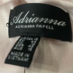 Adrianna Papell long nude/blush formal dress with silvertone hardware / 12 / NWT Photo 11