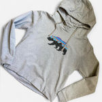 Patagonia  Fitz Roy Bear Uprisal hoodie with bear design women’s size medium Photo 0