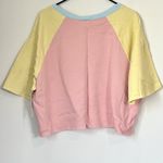 Abound NWT  by Nordstrom Colorblock Retro Cropped Short Sleeve Sweater - 2X Photo 4