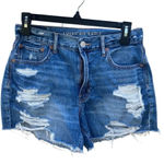 American Eagle  90’s boyfriend distressed cut off shorts size 2 #629 Photo 0