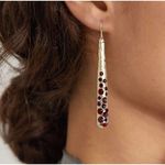 Amrita Singh  Austrian Crystal Gold Drop Earrings Photo 1