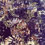 Seven7  High Rise Skinny Corduroy Pants Dark‎ Floral Print Fall Women's Size 18 Photo 6