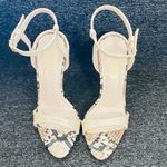 Miss Lola Nude/Snake Heels Photo 1