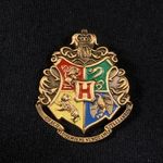 Harry Potter Hogwarts crest pin Photo 0