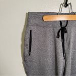 Cropped Athletic Pant Heathered Gray Wide Leg L Size L Photo 3