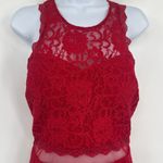 Sequin Hearts  Lace Shimmer Dress 15 Holiday Illusion Party Sexy Winter Valentine Photo 1