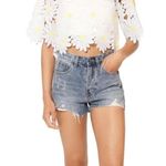 Gracia Daisy Applique Cutout Cropped Blouse size Large Short Sleeves Top Shirt Photo 1