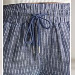 Quince European linen wide leg cropped pants chambray stripe L Photo 9