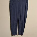 Athleta  Brooklyn Textured Ankle Pant Medieval Violet- Size 6 Photo 4