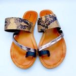 Rock And Candy NEW  by ZiGi Billyne Snake Print Sandals 7 Photo 0