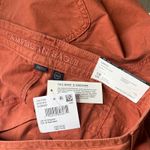 American Eagle Baggy Convertible Cargo Jogger Pants Terracotta Plus Size 18 Photo 3