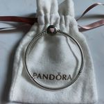 Pandora Bracelet Photo 0