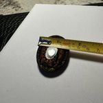 Hand Painted Lacquer Peacock Bird On Black Background Brooch Photo 3