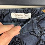 Coldwater Creek Beautiful Pants Size 6 Photo 1