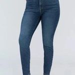 Everlane The Curvy High Rise Skinny Jean Photo 0
