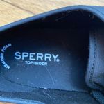 Sperry Sneakers Photo 3