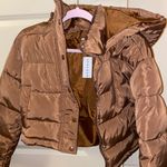 PacSun Brown Cropped Puffer Jacket Photo 1