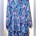 easel NWT  Paisley Dress - 1X Photo 0