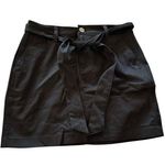 Dickies  Black Pinstripe Skirt with Belt Photo 0
