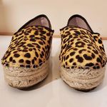 Steve Madden Alexia Platforms Animal Print Platform Espadrilles Photo 1