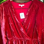 NWT BELTAINE Red Velvet Garnet Tulip Long Sleeve Mini Dress Photo 2