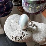 Natural Nautilus Sea Shell Sterling Silver Ring Size 10.5 Photo 0