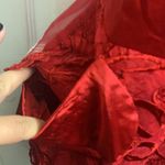 Ny&co NWT Lucy & Red Floral Appliqué Dress Photo 3