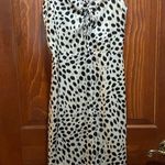 Lucy Paris  Chic Black and Cream Strappy Dress Size Medium Photo 1