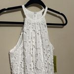 Gianni Bini  Ivory Eyelet‎ Halter Dress Size 0 NWT Photo 3
